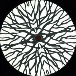 PROCYON