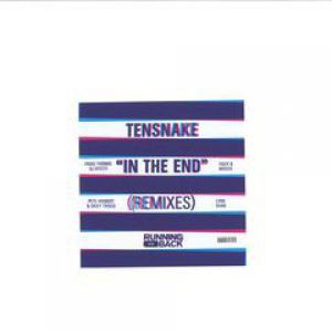 IN THE END (INCL. TIGER & WOODS RMX)