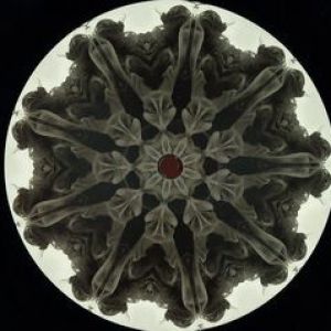 MOI 03