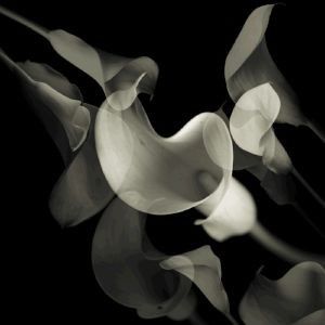 EDITH EP