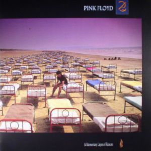 A MOMENTARY LAPSE OF REASON (REMASTERED)