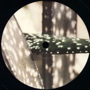 DELAPHINE 007
