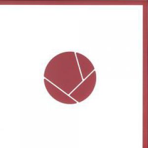 DOMINO REMIXES EP PT1 (MATADOR/ROBAG WRUHME)