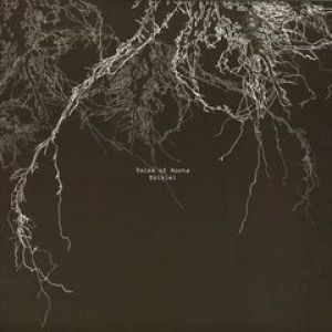 TALES OF ROOTS