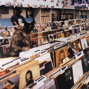 ENDTRODUCING DJ SHADOW