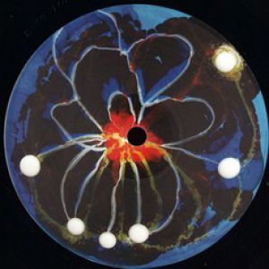 SPACE TEDDY EP