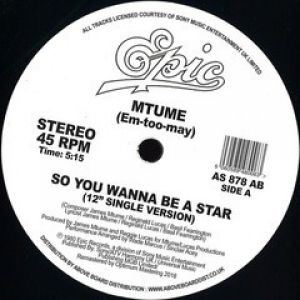 SO YOU WANNA BE A STAR (DANNY KRIVIT EDIT)