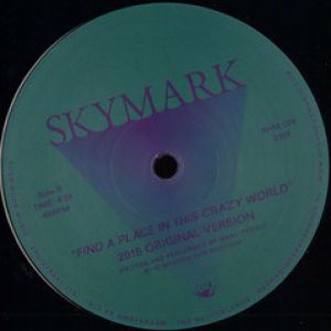 FIND A PLACE IN THIS CRAZY WORLD (RON TRENT RMX)