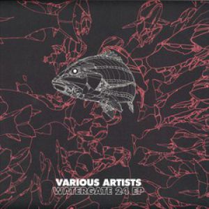 WATERGATE 24 EP