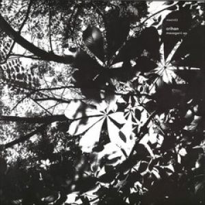 MESAGERII EP