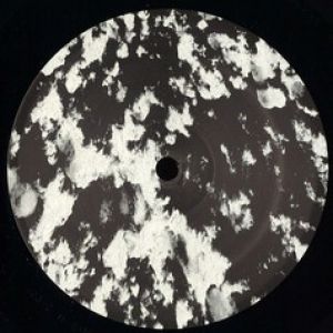 QUASI / PARALLEL