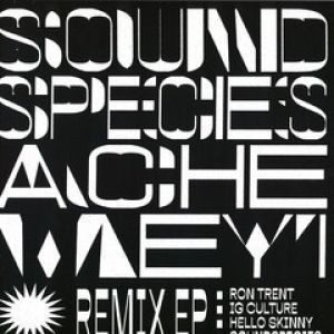 REMIX EP (RON TRENT RMX)