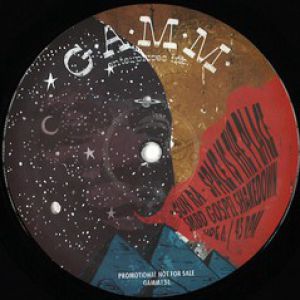 SPACE IS THE PLACE / WE NEED LOVE