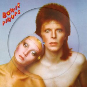 PIN UPS - PICTURE DISC (RECORD STORE DAY 2019)