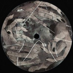 SURSA DELICATA EP