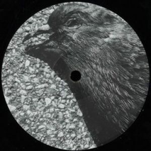 NORD 004