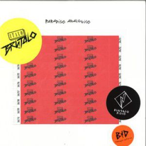 PARADISO ANALOGICO