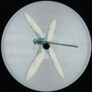 SCN EP