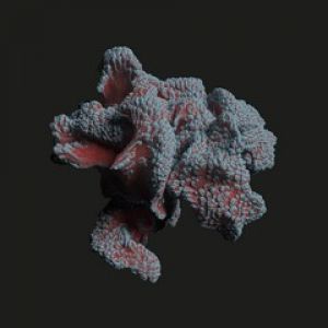 PRANA EP