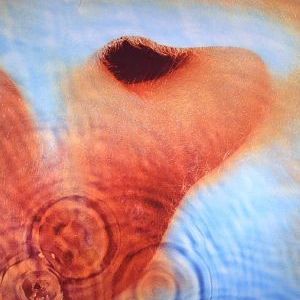 MEDDLE (REMASTERED)