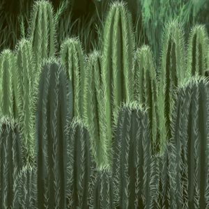 PROPHECY EP