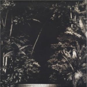 ARPEJOS DA FLORESTA