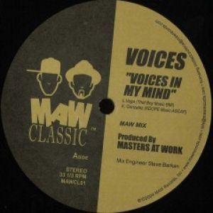 VOICES IN MY MIND