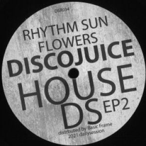 DSR HOUSE EP 2