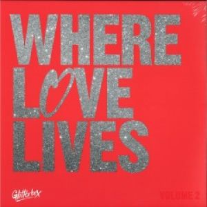 WHERE LOVE LIVES VOL.2