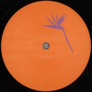 PERSPECTIVE EP (DOUBTINGTHOMAS RMX)