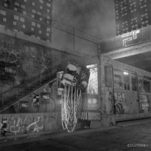 DISCIPLINE EP