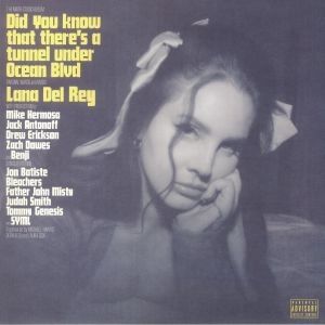 Did You Know That There's A Tunnel Under Ocean Blvd 2XLP