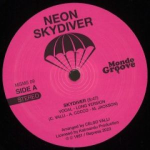 SKYDIVER