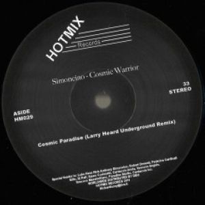 COSMIC WARRIORS RMXS (RON TRENT/LARRY HEARD)