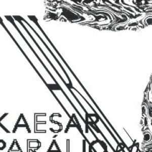 PARALIO EP (COSMJN RMX)