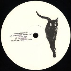 THE BLACK CAT