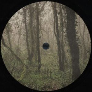 EL BOSQUE DE LA NIEBLA
