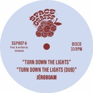TURN DOWN THE LIGHTS (1 X COSTUMER)