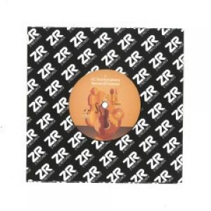 SPECIAL 45 VERSIONS