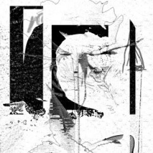 OPEN WINDOW LP