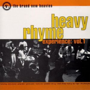 HEAVY RHYME EXPERIENCE VOL.1 (USATO)