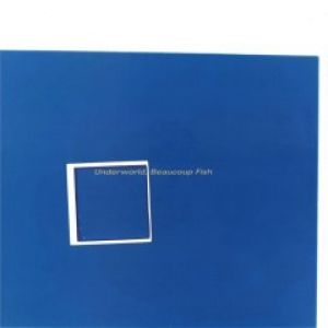BEAUCOUP FISH (REISSUE) 2XLP