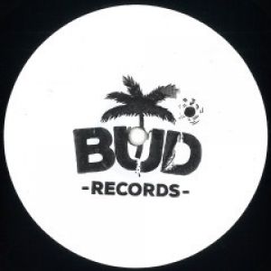 SUMMER BUDS REWORKS
