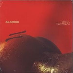 SWEATY TECHNIQUES 2XLP