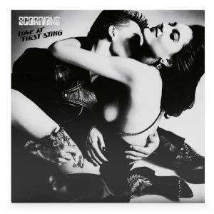 Love At First Sting (Vinyl Silver)