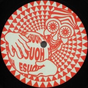 ESUOHLTD003
