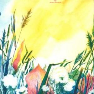 SHANTI REMIXES