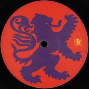 VARIOUS HYBRIDATION EP