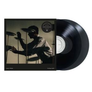 Trying Times (Indie Exclusive 2XLP)
